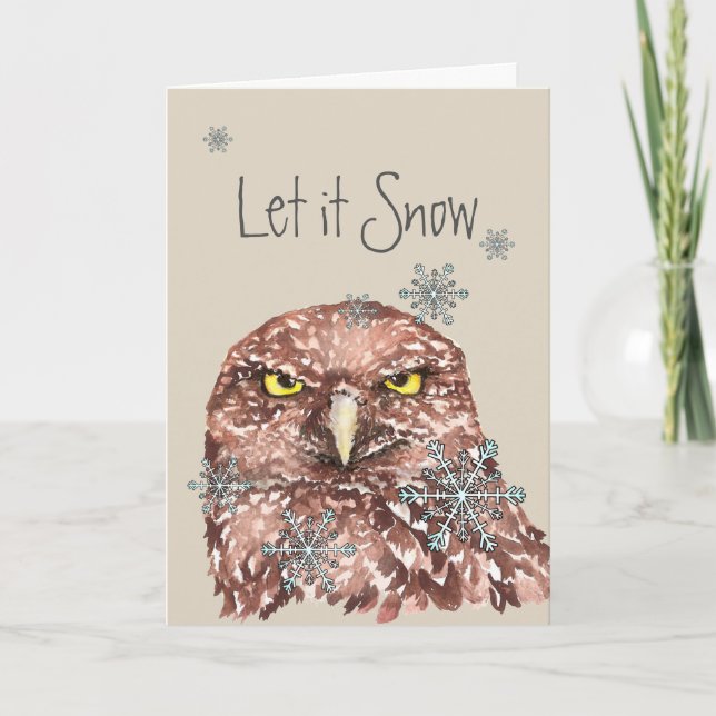 Let it Snow Winter Snowflakes Fun Christmas Owl Holiday Card (Front)