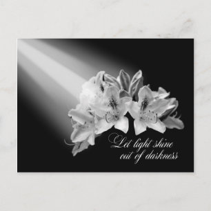 Let Light Shine Out Of Darkness Black And White Postcard