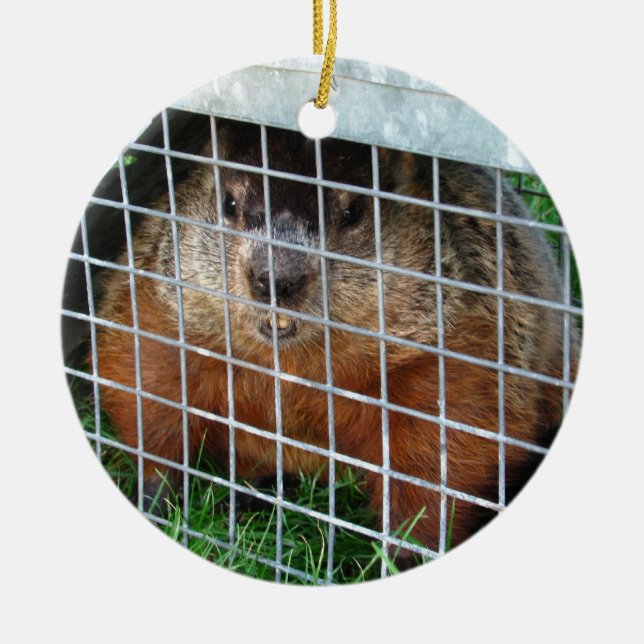 Let Me Out ~ ornament (Front)
