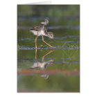 Let me see your wings baby bird