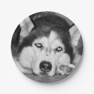 Let Me Sleep Please Paper Plate