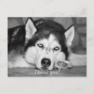 Let Me Sleep Please Thank You Postcard