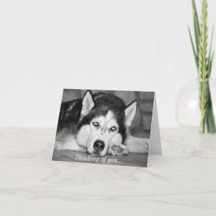 Let Me Sleep Please Thinking Of You Card
