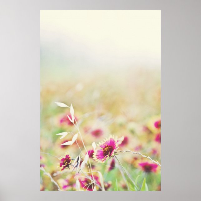 Let nature do poster (Front)