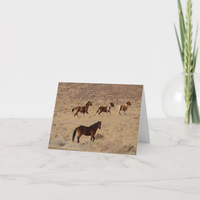 let’s run wild greeting card (Front)