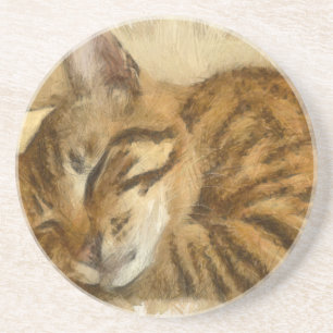 Let Sleeping Cats Lie Pencil Sketch Coaster