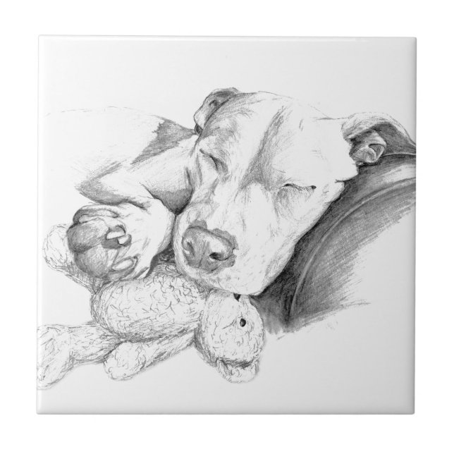 Let Sleeping Dogs Lie Ceramic Tile (Front)