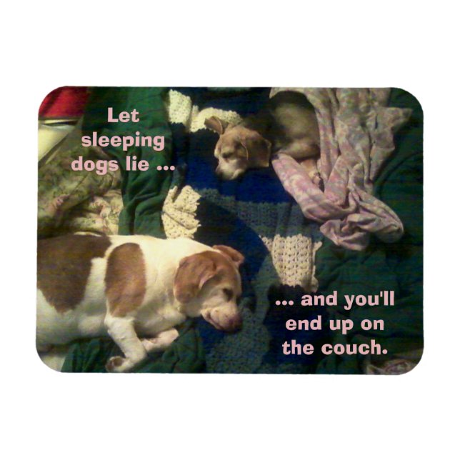 Let Sleeping Dogs Lie / End Up On Couch 3x4 Magnet (Horizontal)