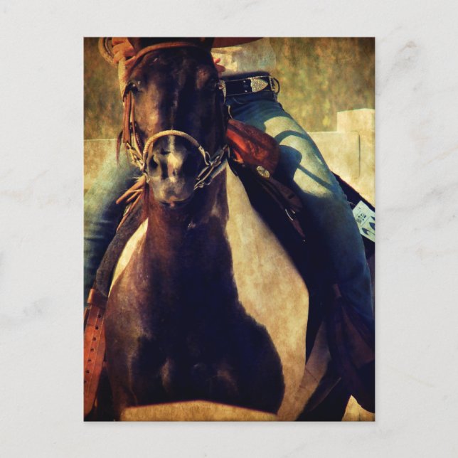 Let that Pinto Pony Run Postcard (Front)