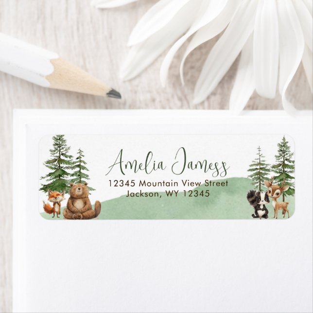 Let the Adventure Begin Baby Shower Return Address Label (Insitu)