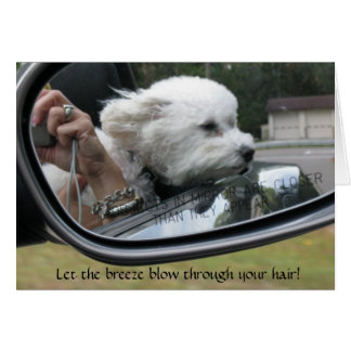 "Let the Breeze Blow Through Your Hair"