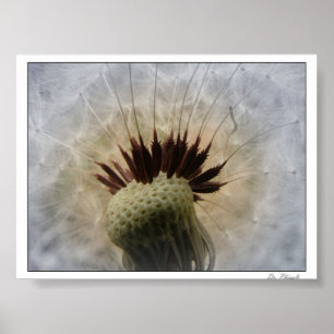 Let The Breeze Carry Me Poster