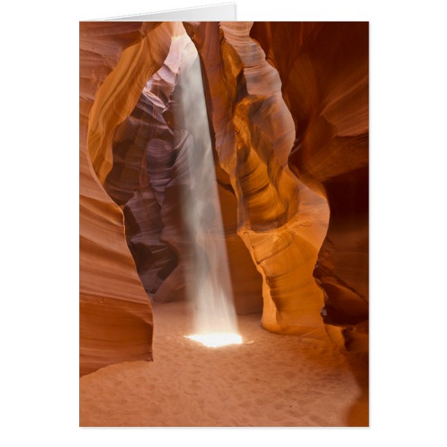 Let the light shine (Front)