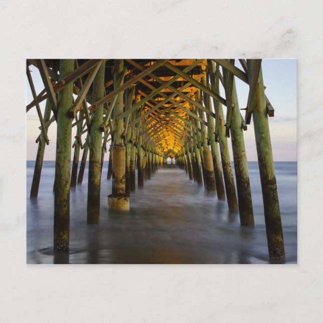 Let The Light Shine Through Postcard (Front)
