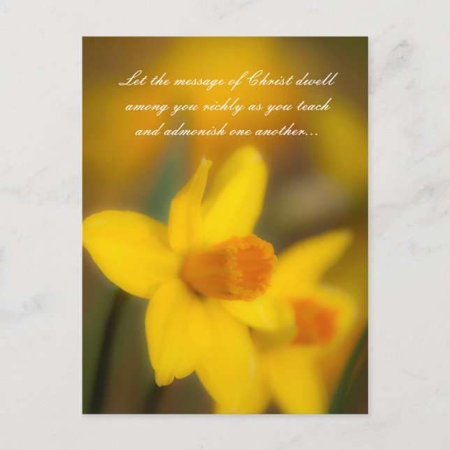 Let the message of Christ dwell among you richly a Postcard (Front)