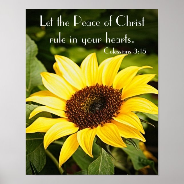 Let the Peace of Christ rule Poster (Front)