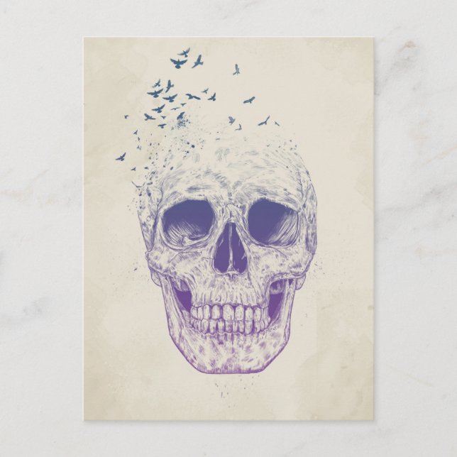 Let them fly postcard (Front)