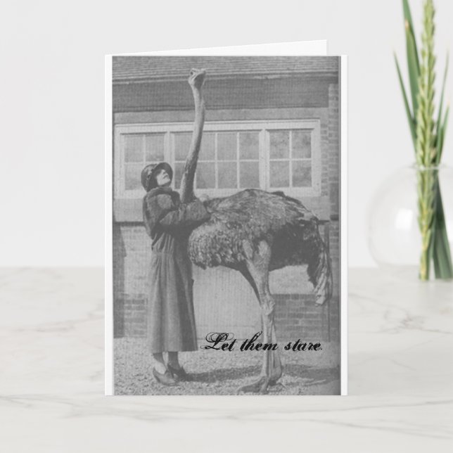 Let them Stare Holiday Card (Front)