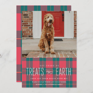 Let There Be Treats on Earth Pet Photo Holiday Invitation