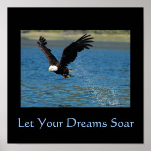 Let Your Dreams Soar Poster