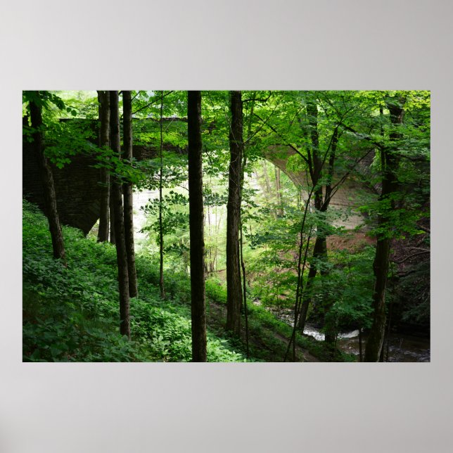 Letchworth Bridge Green Forest 36" x 24" Poster (Front)