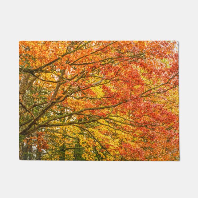 Letchworth Tree Branches Orange Nature Doormat (Front)