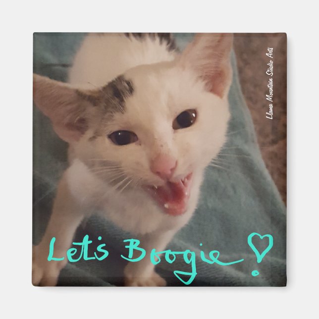 Let's Boogie! kitten magnet (Front)