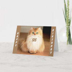**LET'S CELEBRATE YOU SIS** WIDE EYED CAT SAYS CARD