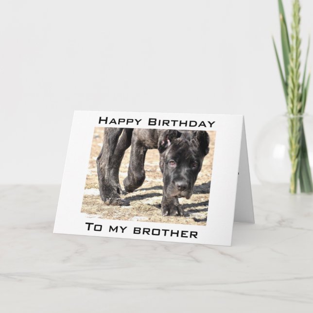 LET'S CELEBRATE YOUR BIRTHDAY BROTHER CARD (Front)