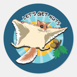Let's Get Nuts - Flying Squirrel Classic Round Sticker