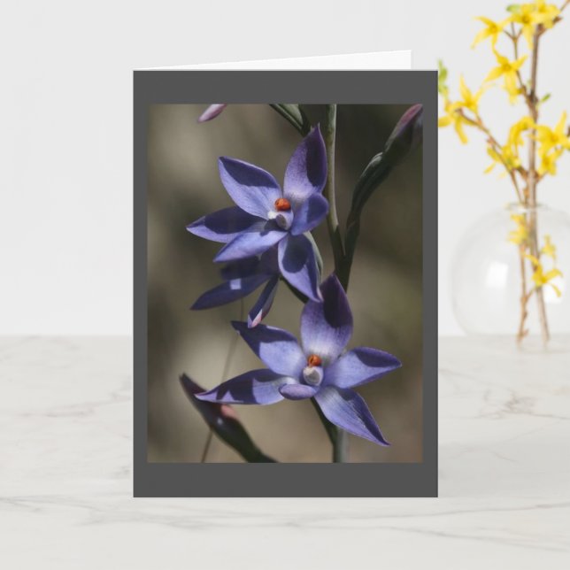 LET'S GET TOGETHER MY FRIEND CARD (Yellow Flower)