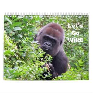 Let's Go Wild - Wild Animal Calendar (Encore)
