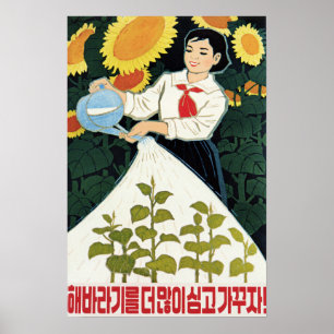 Lets Grow More Sunflowers! North Korea Agriculture Poster