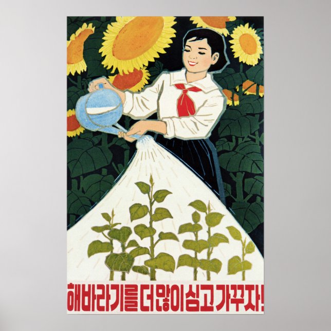 Lets Grow More Sunflowers! North Korea Agriculture Poster (Front)