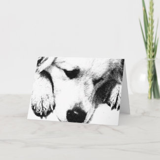 Let's have a brownie card