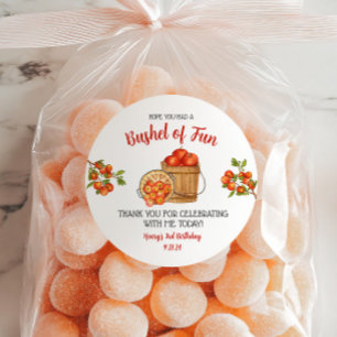 Let's Have a Bushel of Fun!  Apple Birthday Party Classic Round Sticker