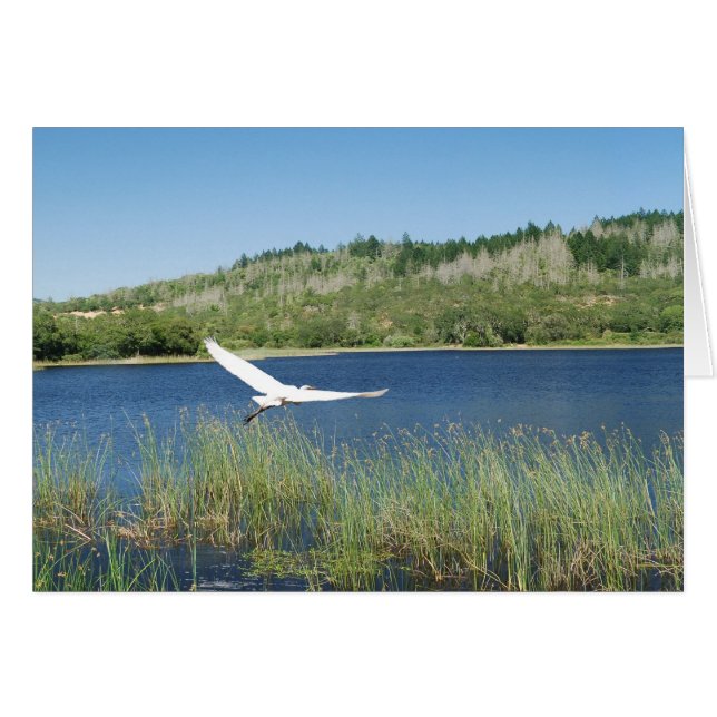 Let's Hike to the Lake (Front Horizontal)