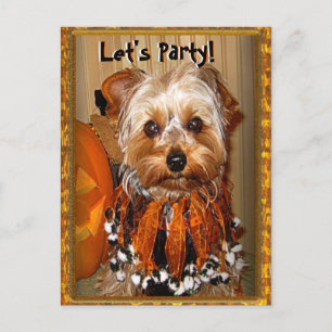Let's Party for Halloween Yorkie Invitation Postcard