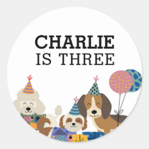 Lets Pawty Dog Puppy Birthday Party Classic Round Sticker