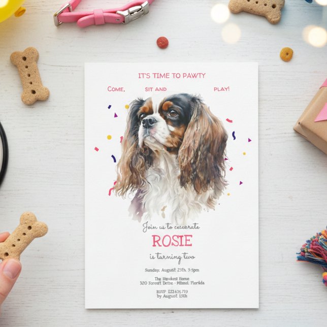 Let's pawty, dog's birthday party invitation (Creator Uploaded)