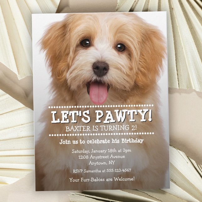 Let's Pawty Pet Photo Birthday Party Postcard (Creator Uploaded)