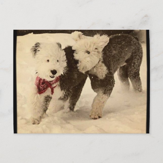 Lets Play! Postcard (Front)