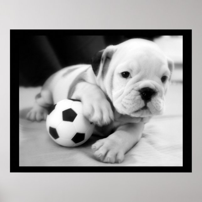 "Let's Play Soccer" English Bulldog Poster (Front)