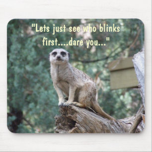 "Lets see who blinks first.." funny mousepad. Mouse Pad