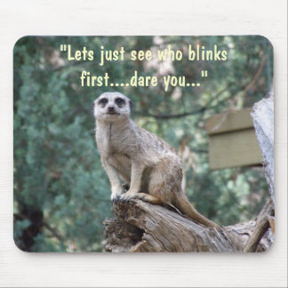 "Lets see who blinks first.." funny mousepad. Mouse Pad