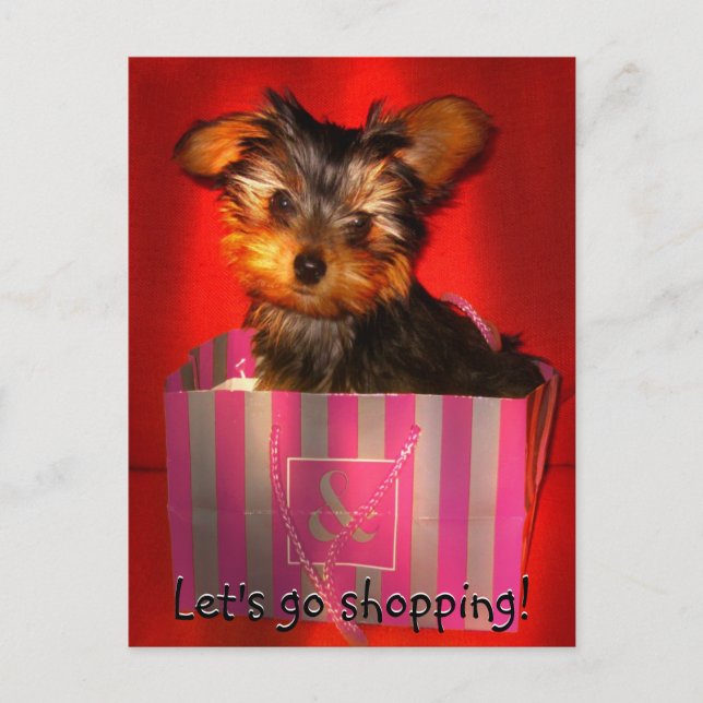 Let's Shop  Customisable Postcard (Front)