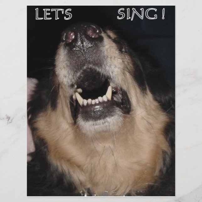 LET'S SING ! (Front)