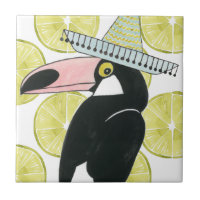 Let's Taco About Love | Toucan Sombrero