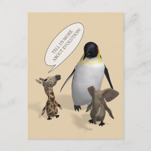 Let's Talk About Evolution Postcard