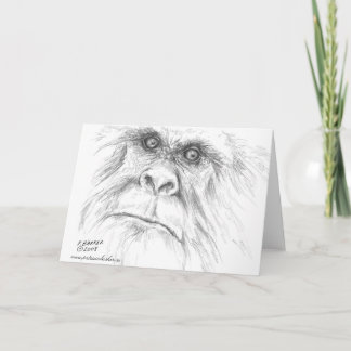 Let's Talk Bigfoot Note Cards
